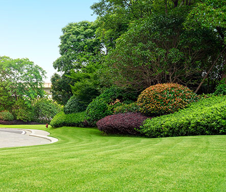 Landscaping Maintenance Services Glen Mills, PA